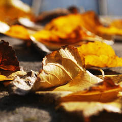 智能防火墙的24小时轰炸对方的电话